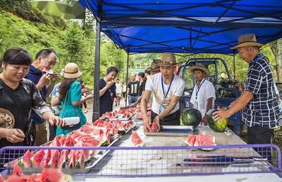 鞋帽零售領跑，我市社會消費品零售總額增速榮登全省榜首