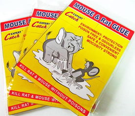 廠家直銷環(huán)保外貿(mào)粘鼠膠板——義烏市綠亞日用品廠，一站式采購(gòu)指南